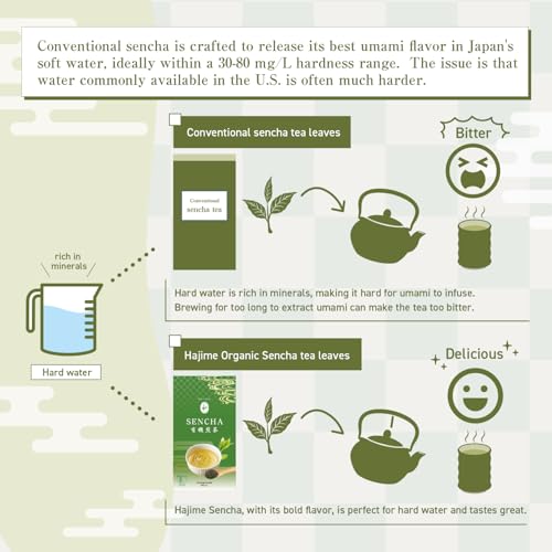 BJDesign HAJIME Organic Sencha Green Tea, Japanese Loose Leaf Tea, 80g