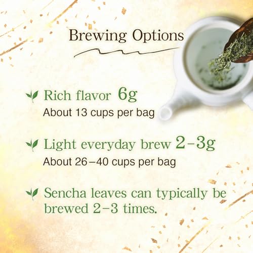 BJDesign HAJIME Organic Sencha Green Tea, Japanese Loose Leaf Tea, 80g