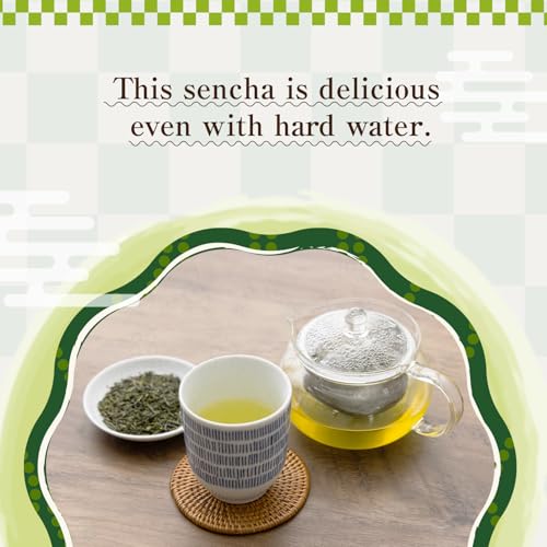 BJDesign HAJIME Organic Sencha Green Tea, Japanese Loose Leaf Tea, 80g