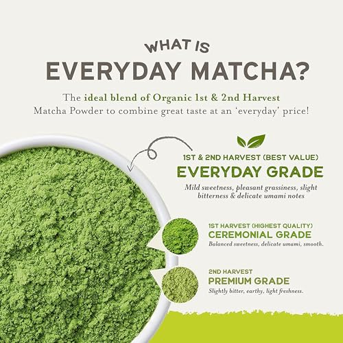 Sencha Eveyrday Natural USDA Organic Matcha Green Tea Powder Rich Antioxidant Revitalizing Body Helathy Gluten Free Product 100% Vegan Diet - 12oz (Pack of 1)