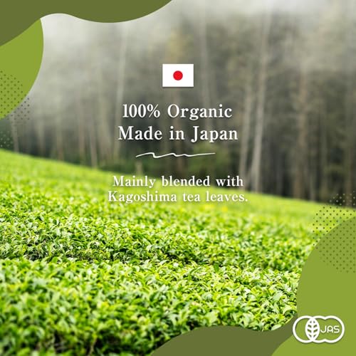 BJDesign HAJIME Organic Sencha Green Tea, Japanese Loose Leaf Tea, 80g