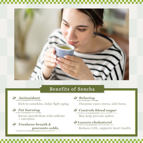 BJDesign HAJIME Organic Sencha Green Tea, Japanese Loose Leaf Tea, 80g