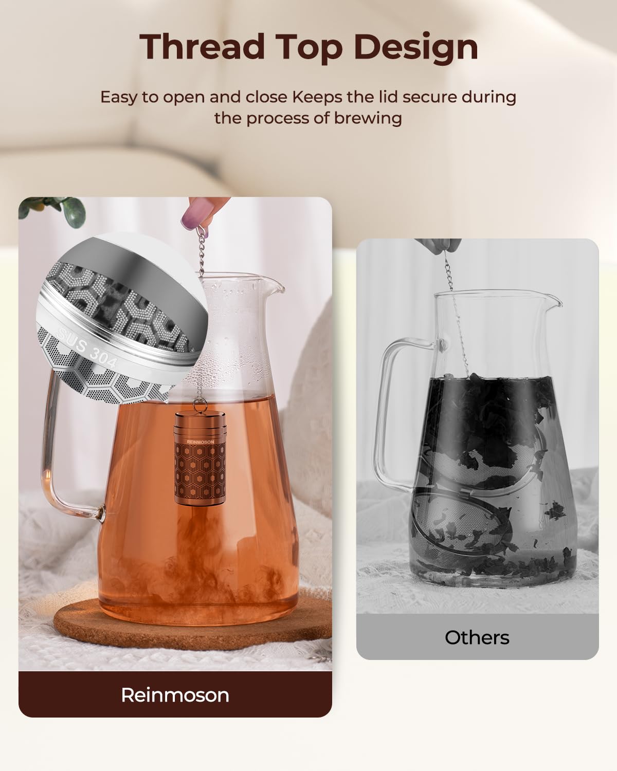 Reinmoson Tea Infuser for Loose Tea & Spice Infusers
