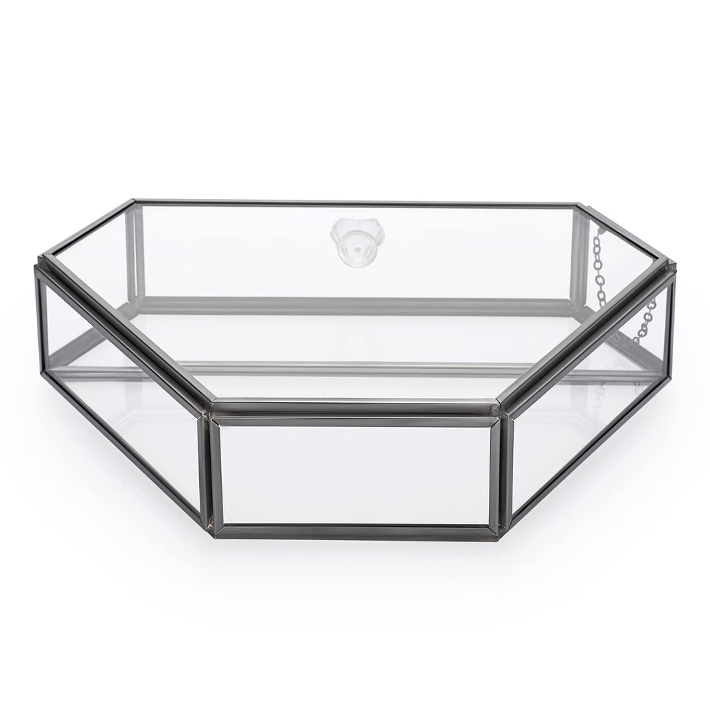 ELLDOO Glass Coffee Filter Holder with Dustproof Cover