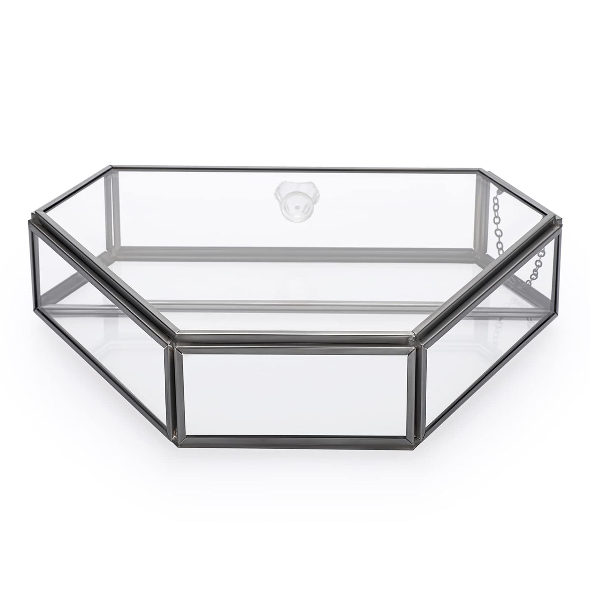 ELLDOO Glass Coffee Filter Holder with Dustproof Cover