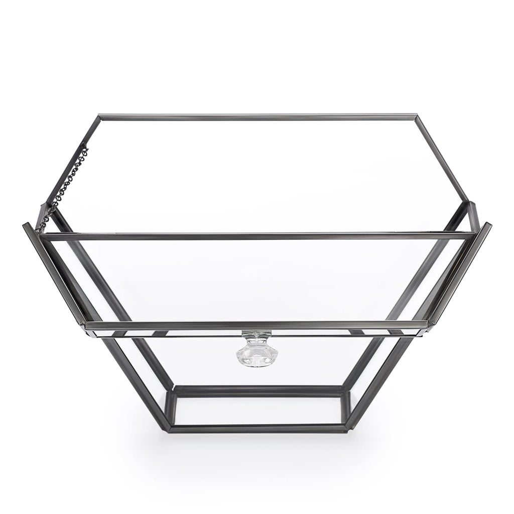ELLDOO Glass Coffee Filter Holder with Dustproof Cover