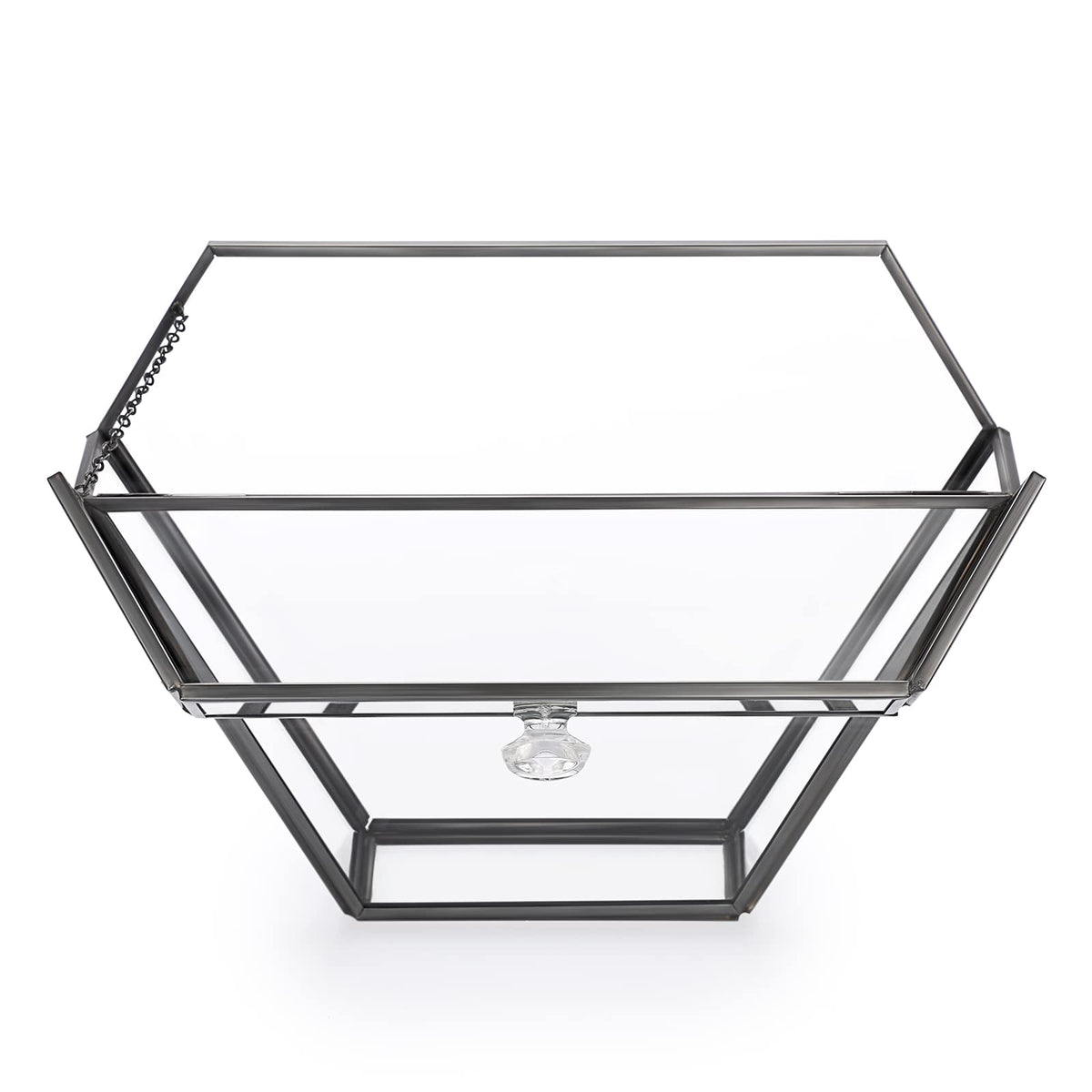 ELLDOO Glass Coffee Filter Holder with Dustproof Cover
