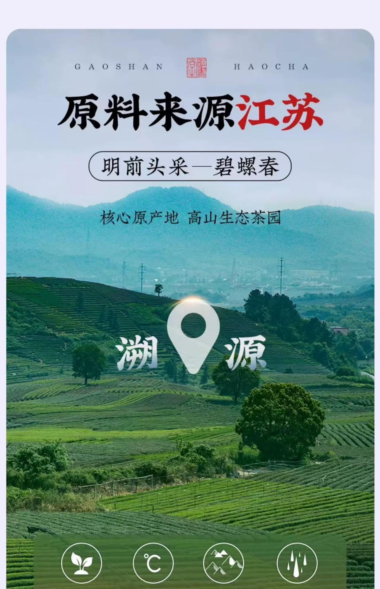 Chinese Green, White & Black Tea Variety Collection 2026[object Object]