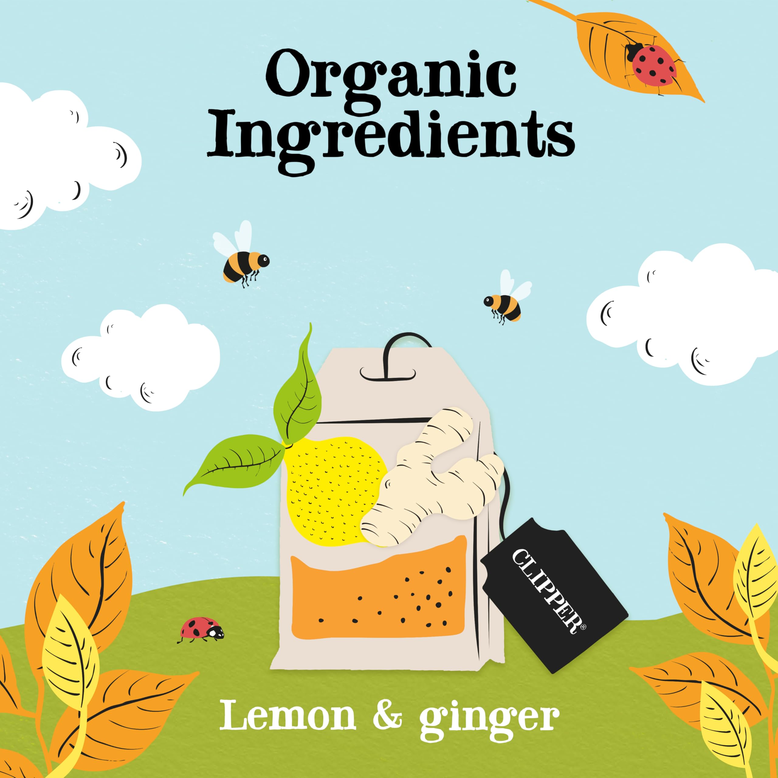 Clipper Organic Lemon & Ginger Herbal Tea, 50 Tea Bags