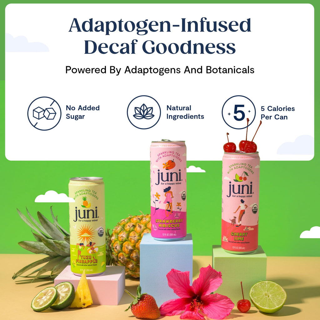 Juni Sparkling Adaptogen Drink with Ashwagandha, Lion’s Mane & Reishi Mushrooms | Green Tea for Focus, Zero Sugar, 5 Calories | Decaffeinated, Non Alcoholic Drinks -12oz Cans