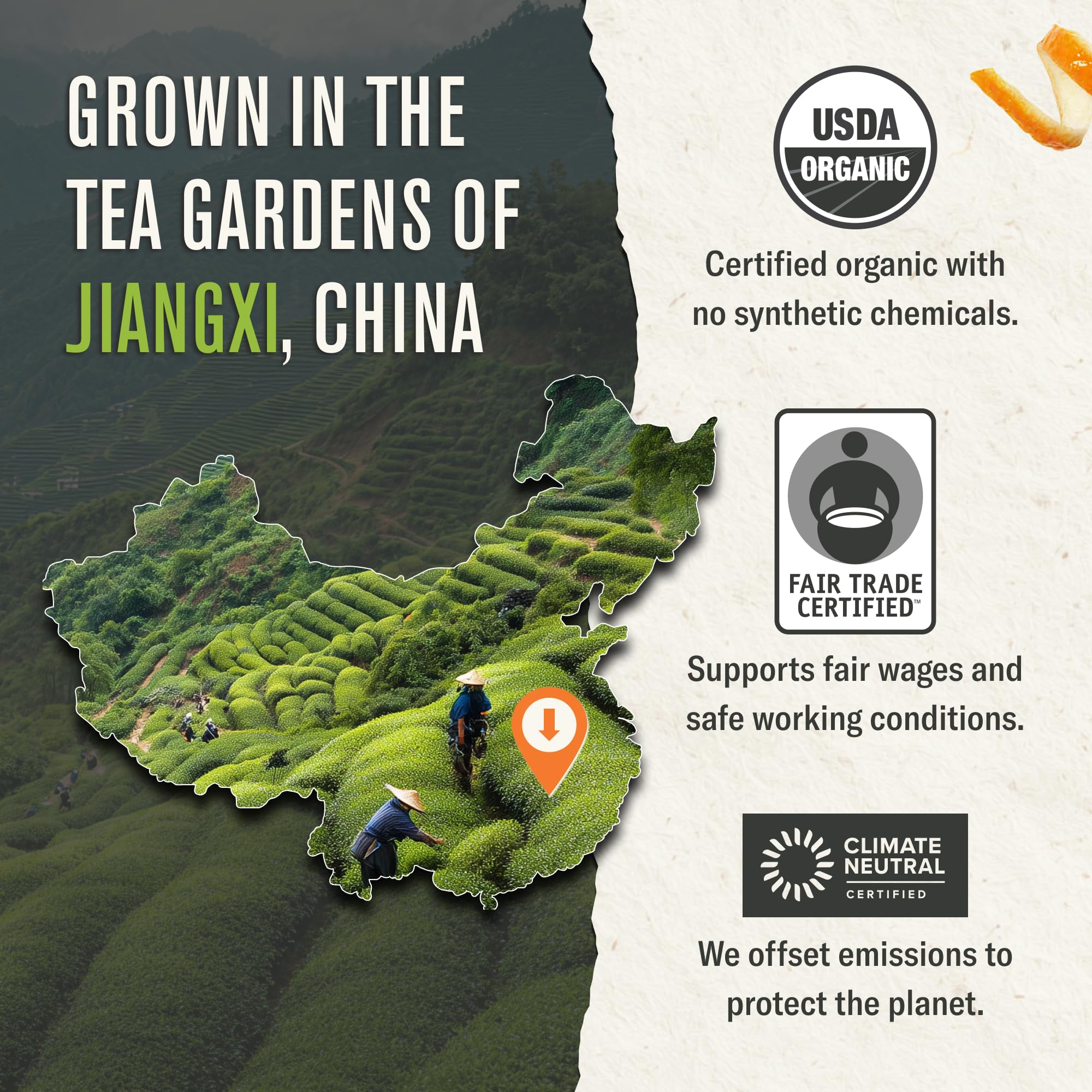 Numi Organic Jasmine Green Tea,