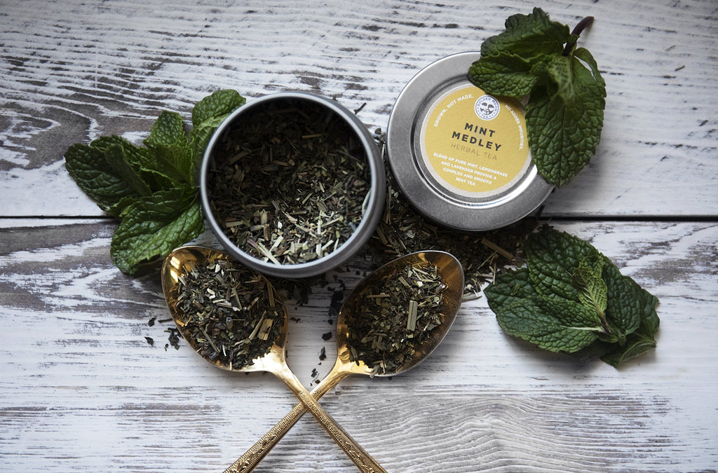 Golden Moon Tea LOOSE LEAF TEA SAMPLER - 9 Variety Pack - Organic Tea Sampler Gift Set - Black Tea, Green Tea, White Tea, Herbal Tea